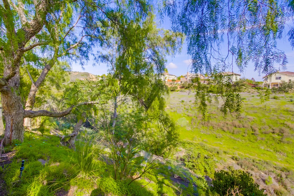Virtual tour photo 80 of 80 for 12139 Celome Ln