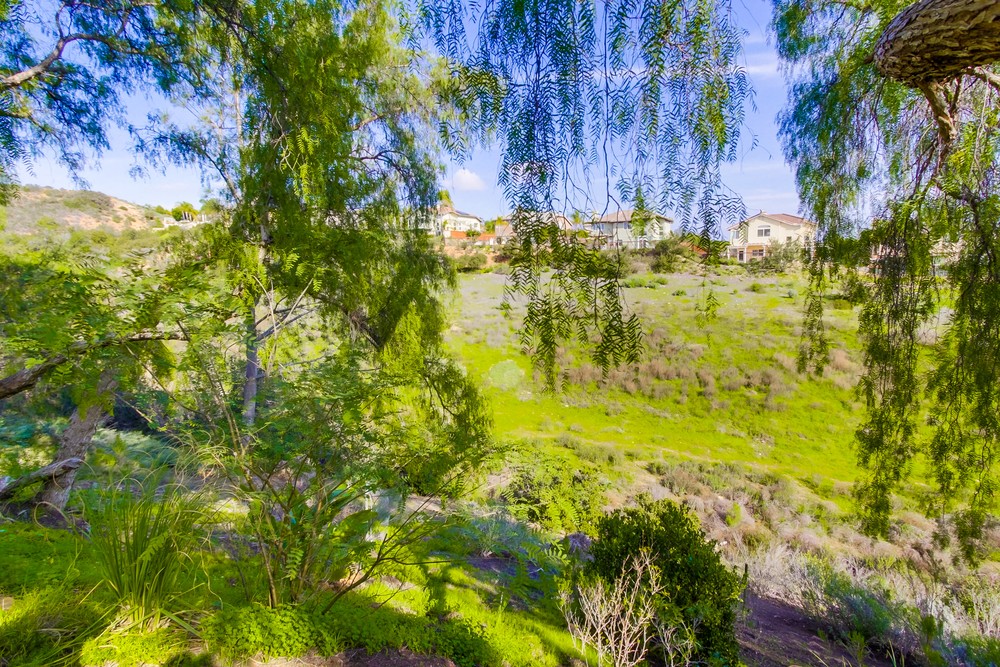 Virtual tour photo 81 of 80 for 12139 Celome Ln