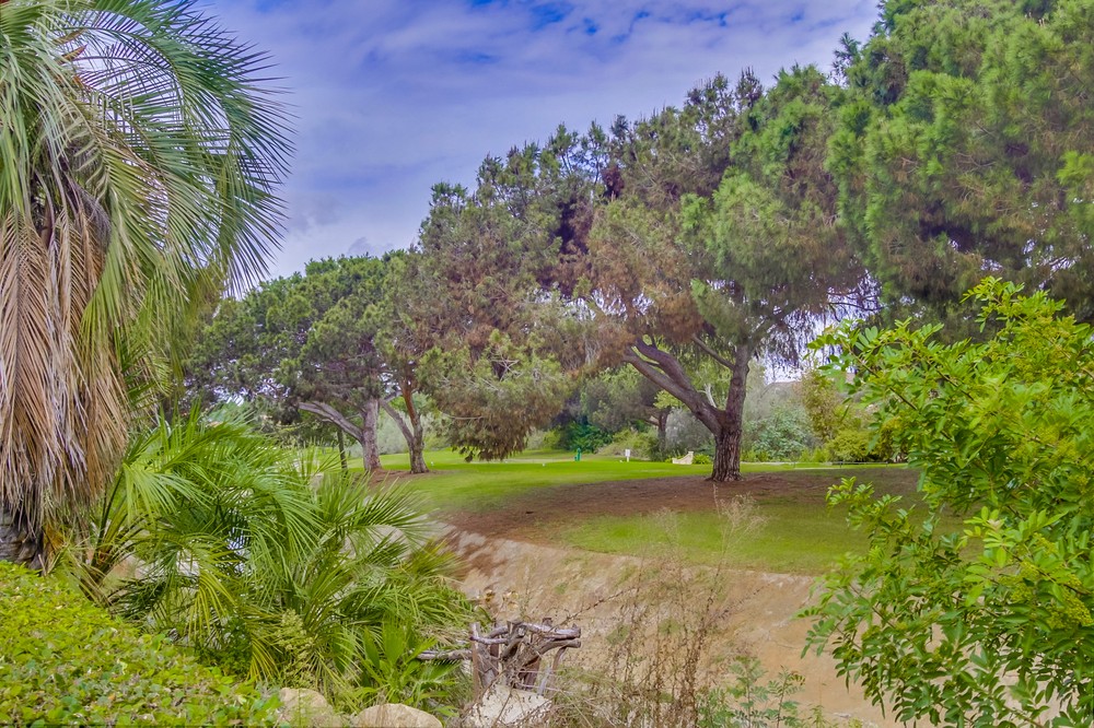 Virtual tour photo 37 of 45 for 12174 Rancho Bernardo Rd