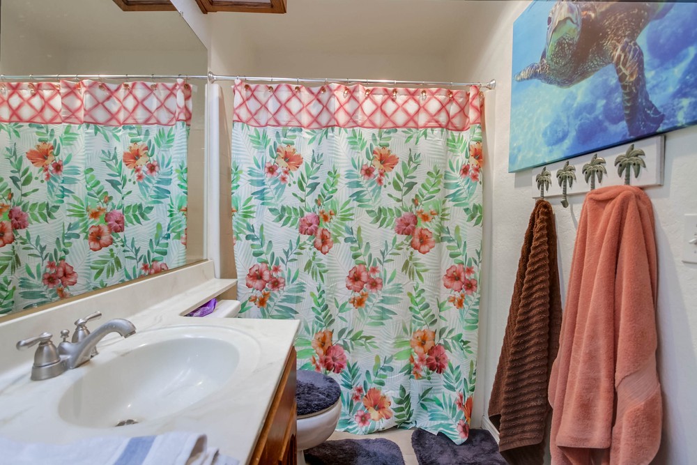 Virtual tour photo 28 of 43 for 1219 Hornblend St