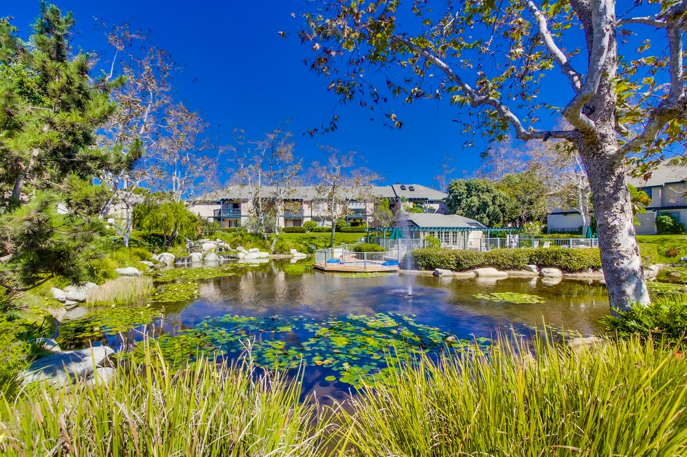 Virtual tour photo 48 of 50 for 12213 Carmel Vista Road #236