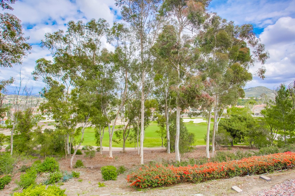 Virtual tour photo 48 of 71 for 12242 Paseo Lucido B