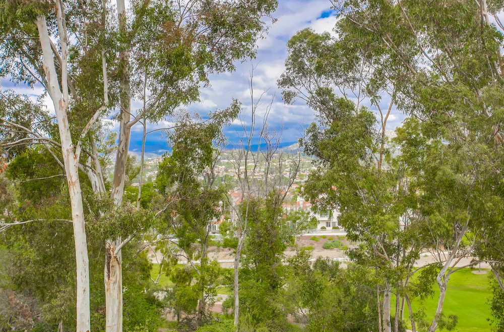 Virtual tour photo 49 of 71 for 12242 Paseo Lucido B