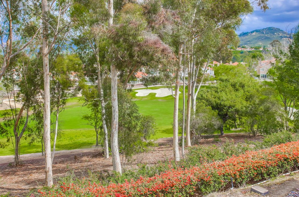 Virtual tour photo 63 of 71 for 12242 Paseo Lucido B