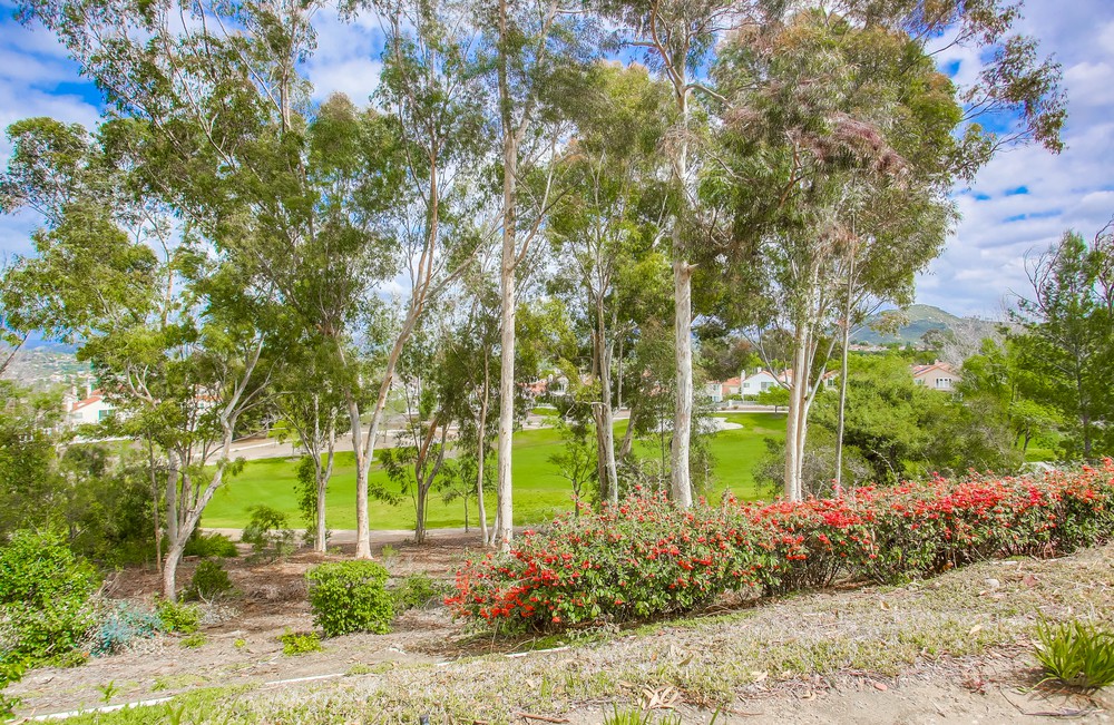 Virtual tour photo 70 of 71 for 12242 Paseo Lucido B
