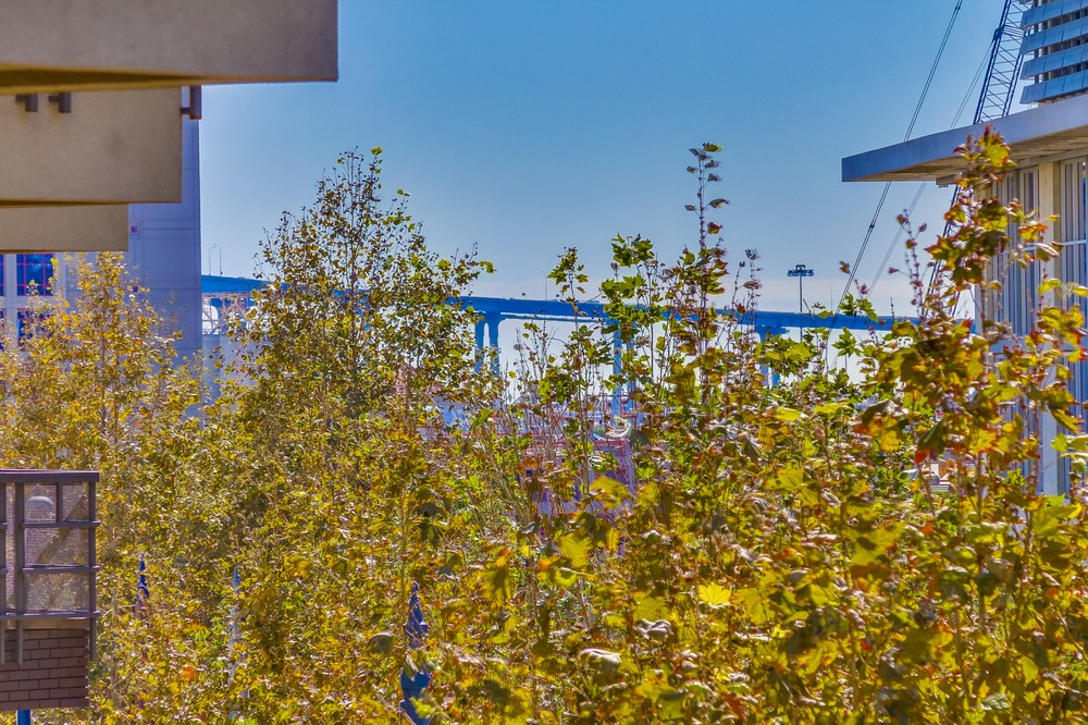 Virtual tour photo 53 of 58 for 1225 Island Ave #305