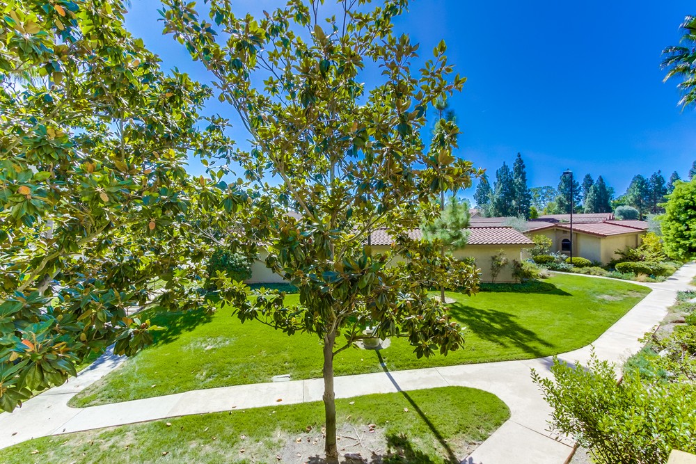 Virtual tour photo 28 of 51 for 12260 Corte Sabio #5206