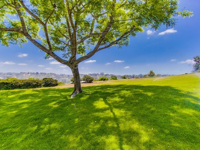 Virtual tour photo 32 of 35 for 1232 River Glen Row #59