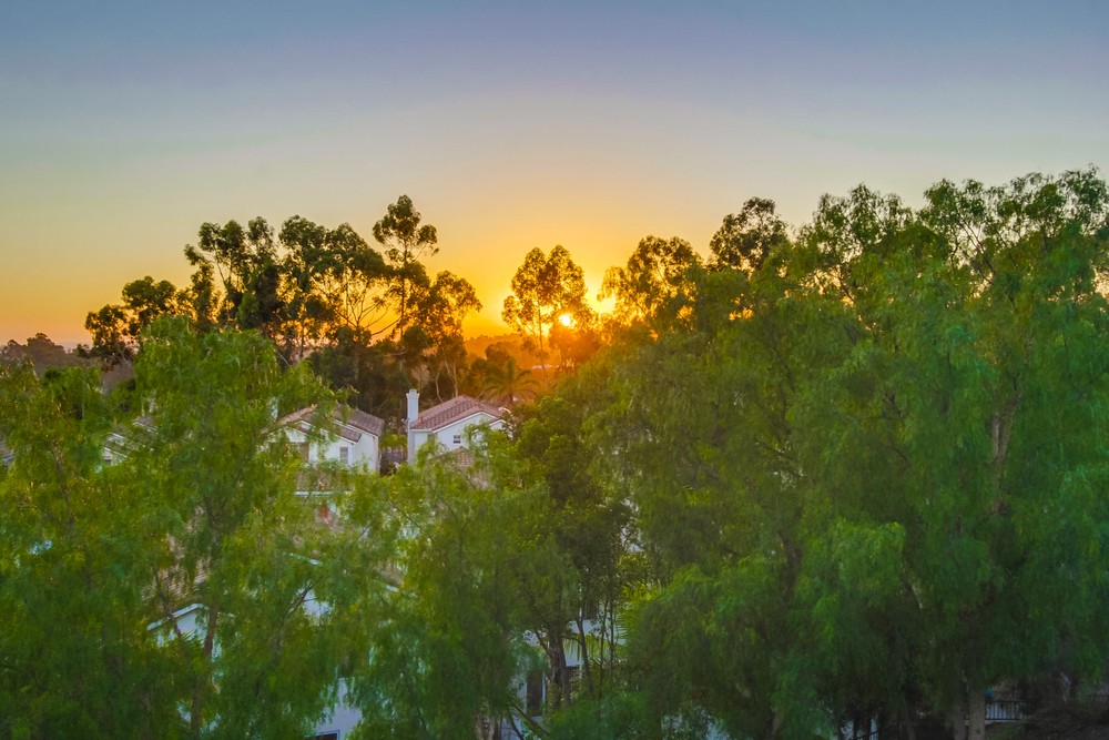 Virtual tour photo 9 of 41 for 12327 Caminito Peral