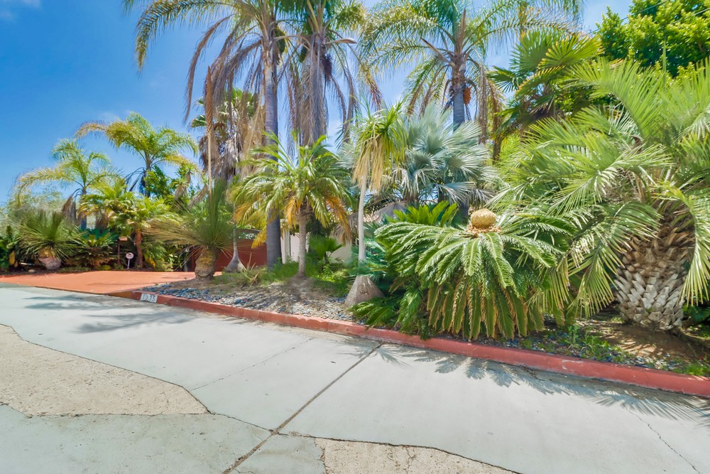 Virtual tour photo 6 of 64 for 1235 Sassafras St