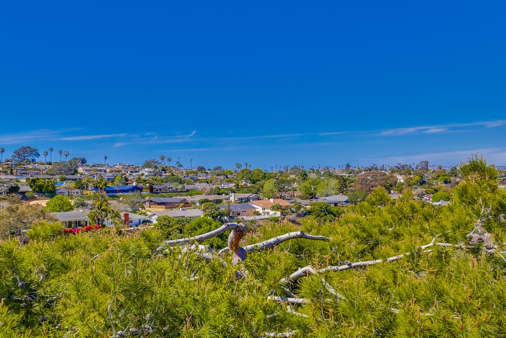 Virtual tour photo 56 of 64 for 1236 Concord St