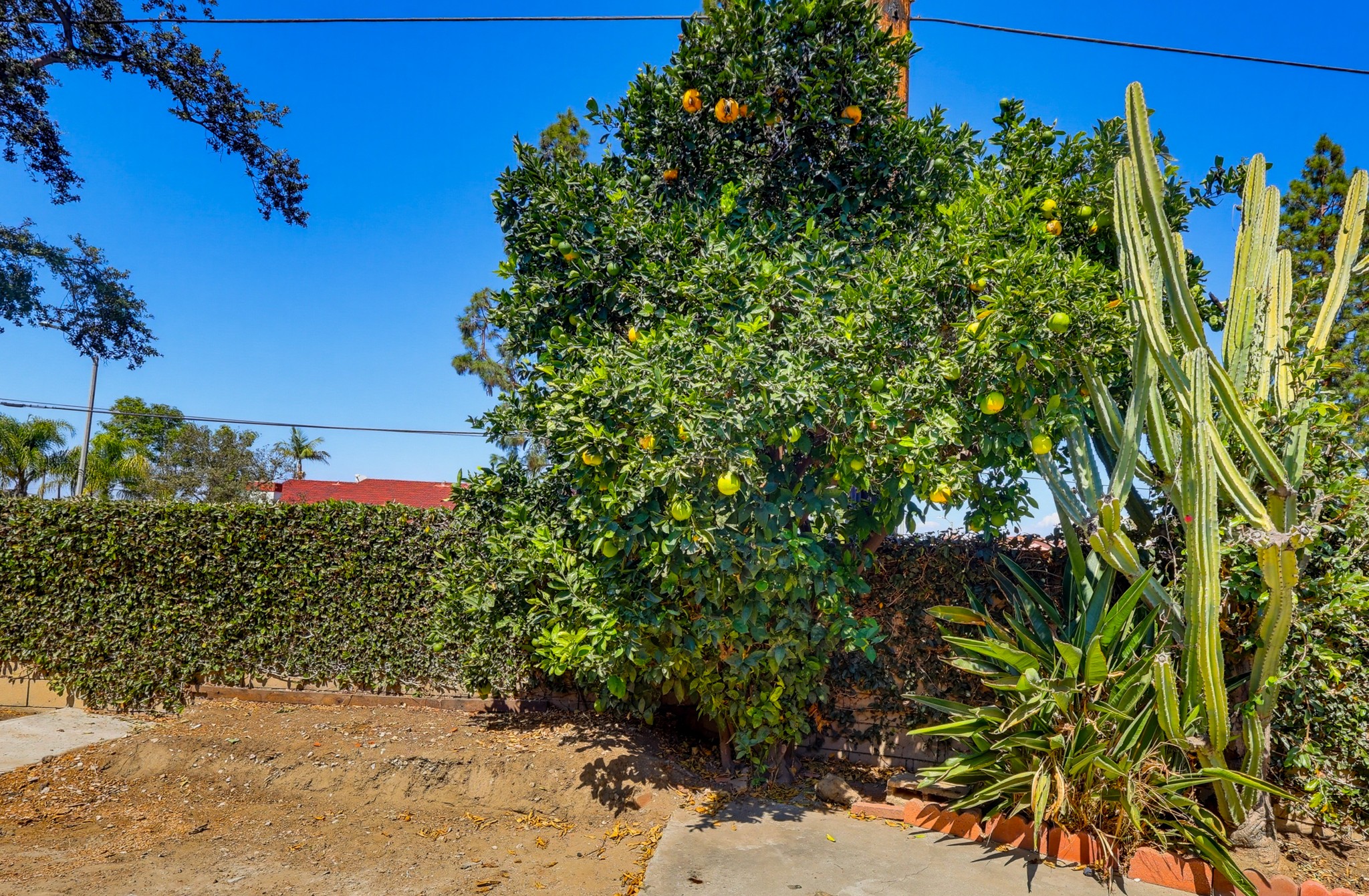 Virtual tour photo 67 of 73 for 12361 Paseo Dr
