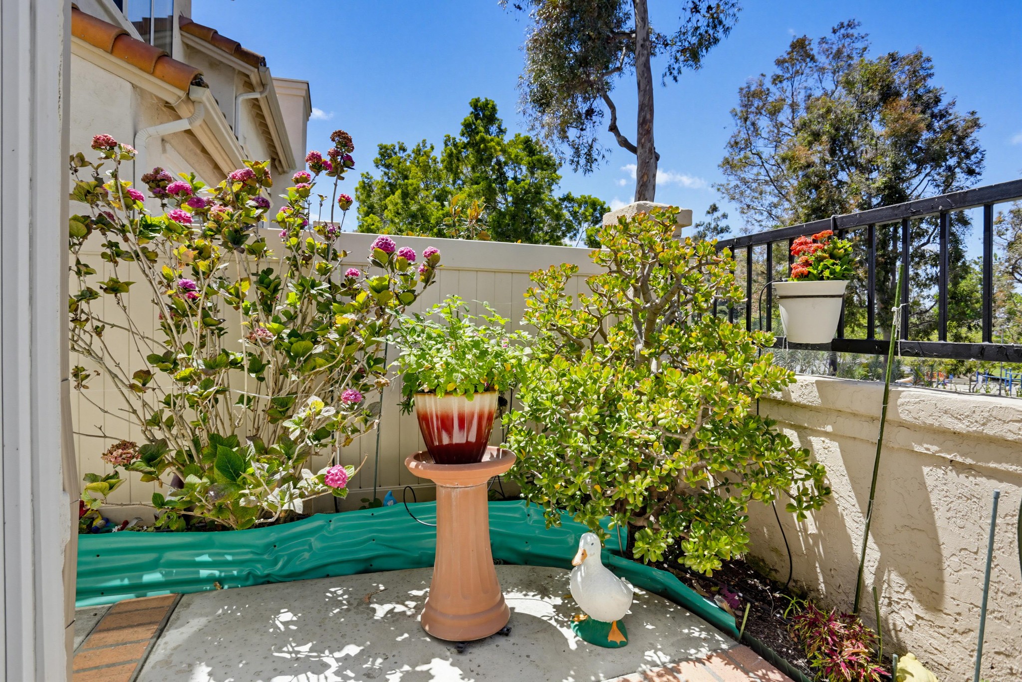 Virtual tour photo 30 of 38 for 12376 Caminito Festivo