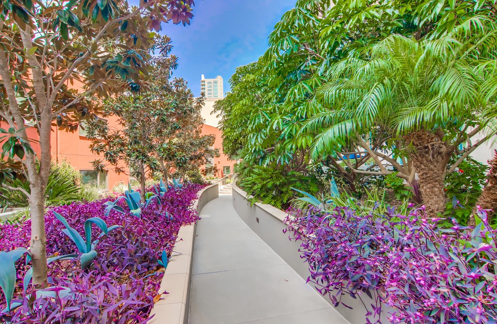 Virtual tour photo 42 of 41 for 1240 India St UNIT 317
