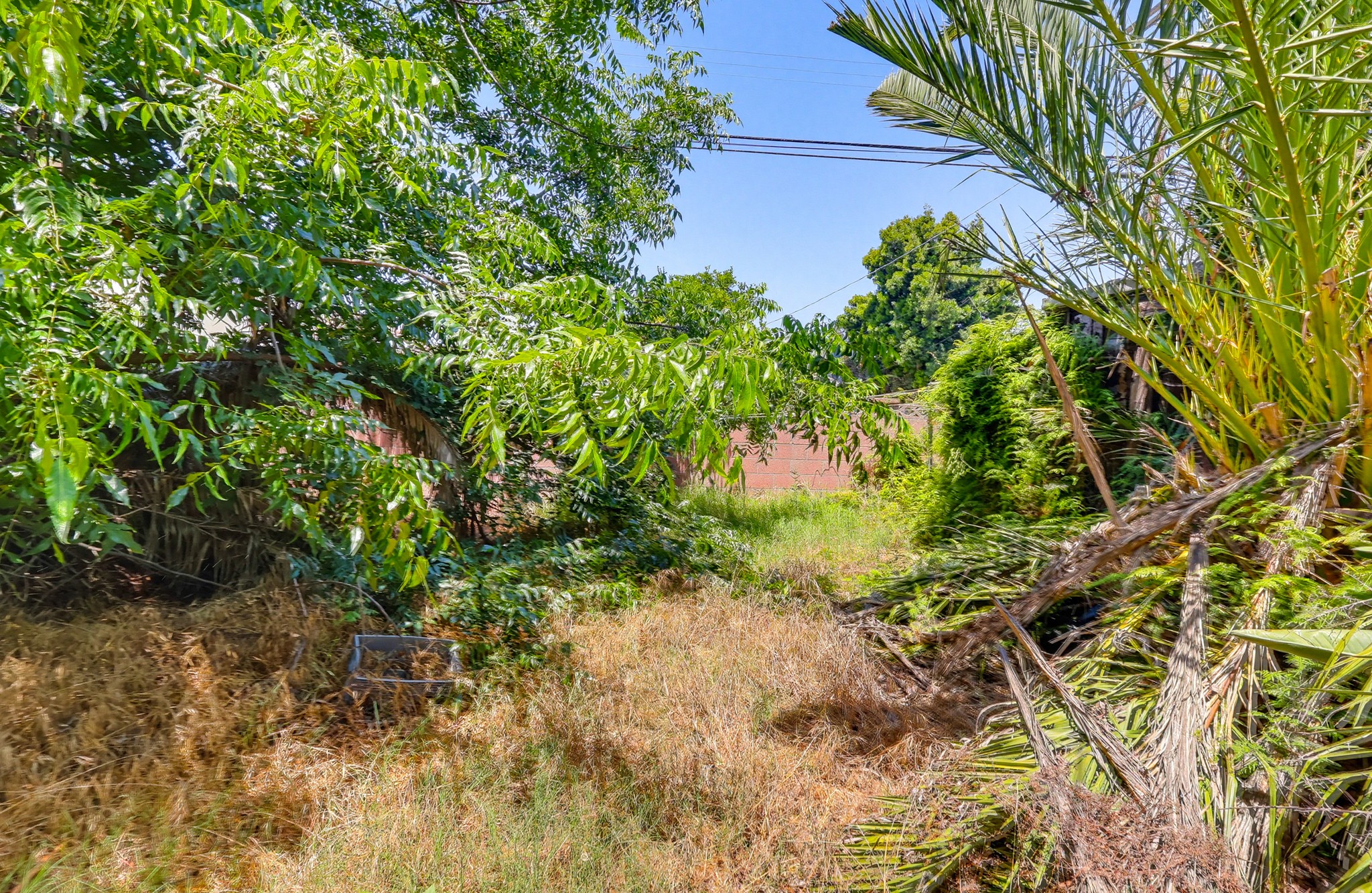 Virtual tour photo 47 of 54 for 1247 W 49th St