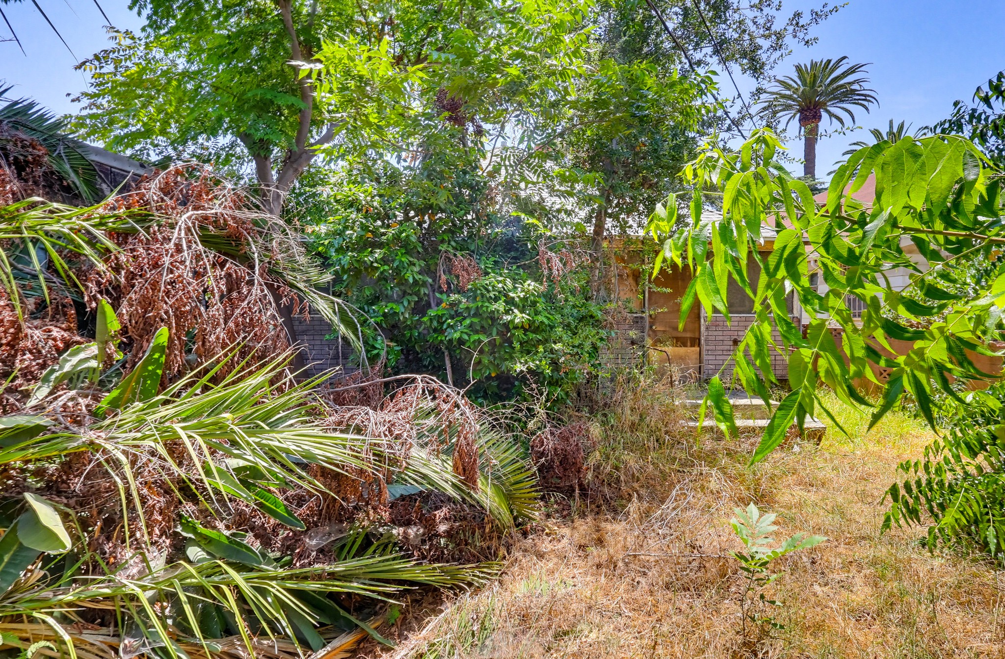 Virtual tour photo 48 of 54 for 1247 W 49th St