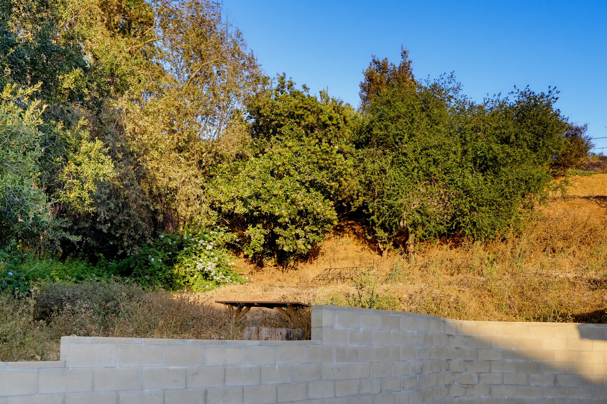 Virtual tour photo 97 of 98 for 125 Campanita Ct