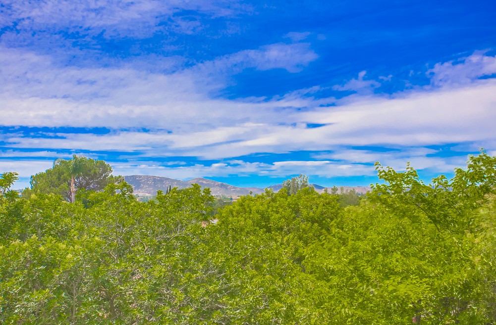 Virtual tour photo 68 of 71 for 12500 Pacato Cir S