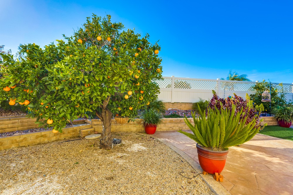 Virtual tour photo 35 of 36 for 12512 Palero Rd