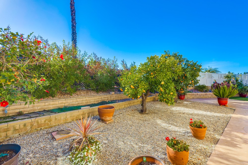 Virtual tour photo 36 of 36 for 12512 Palero Rd