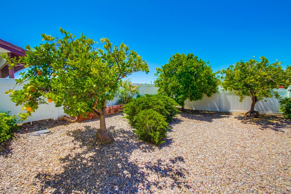 Virtual tour photo 52 of 54 for 12544 Palero Rd