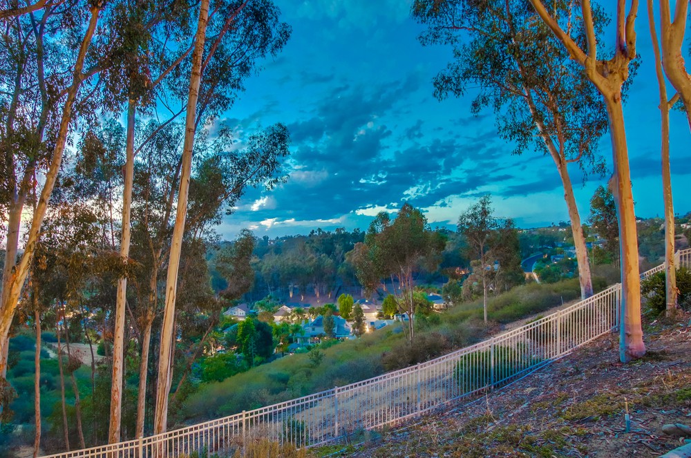 Virtual tour photo 17 of 98 for 12550 Fairbrook Rd