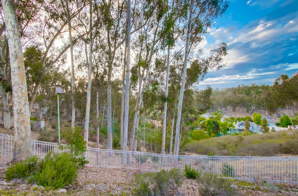Virtual tour photo 93 of 98 for 12550 Fairbrook Rd