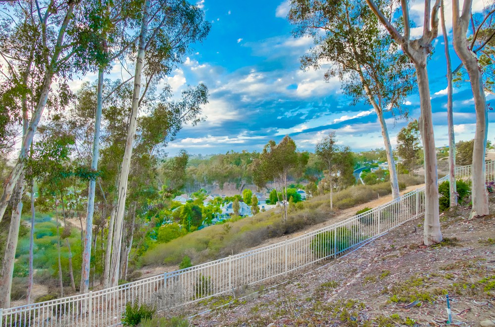 Virtual tour photo 94 of 98 for 12550 Fairbrook Rd