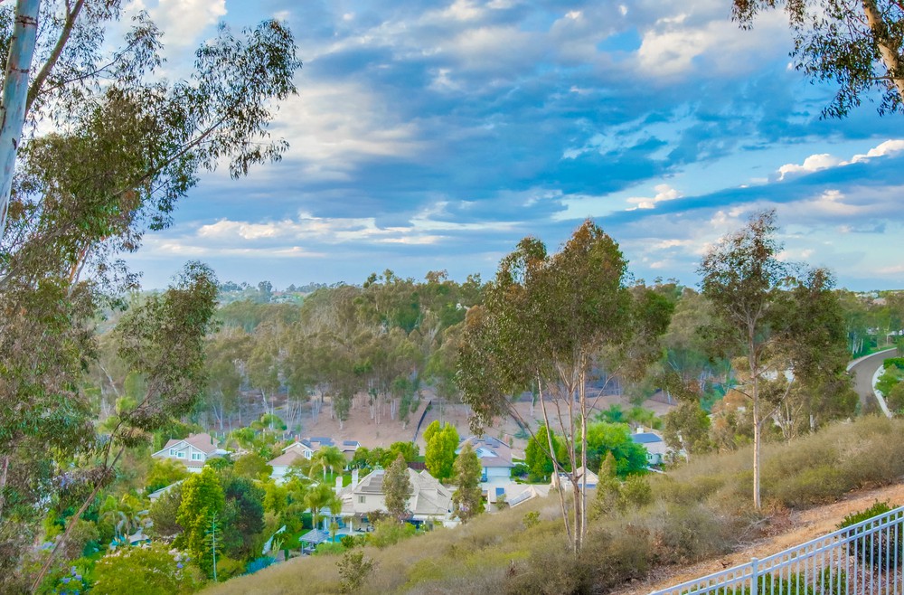 Virtual tour photo 95 of 98 for 12550 Fairbrook Rd