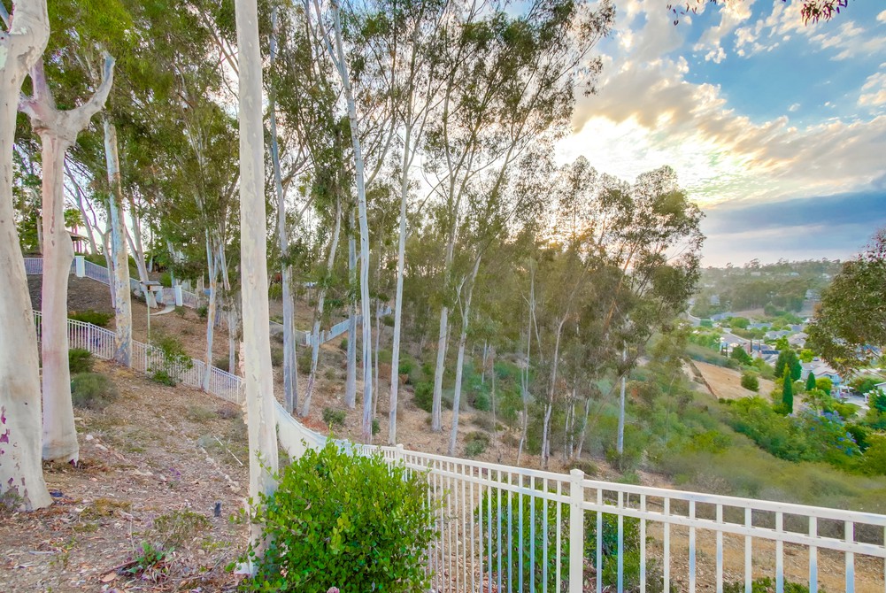 Virtual tour photo 96 of 98 for 12550 Fairbrook Rd