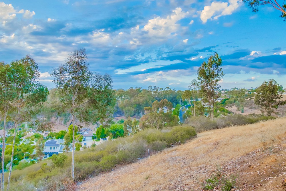 Virtual tour photo 97 of 98 for 12550 Fairbrook Rd