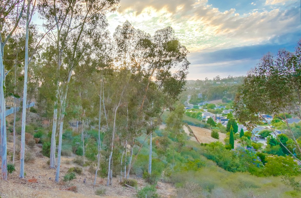Virtual tour photo 98 of 98 for 12550 Fairbrook Rd