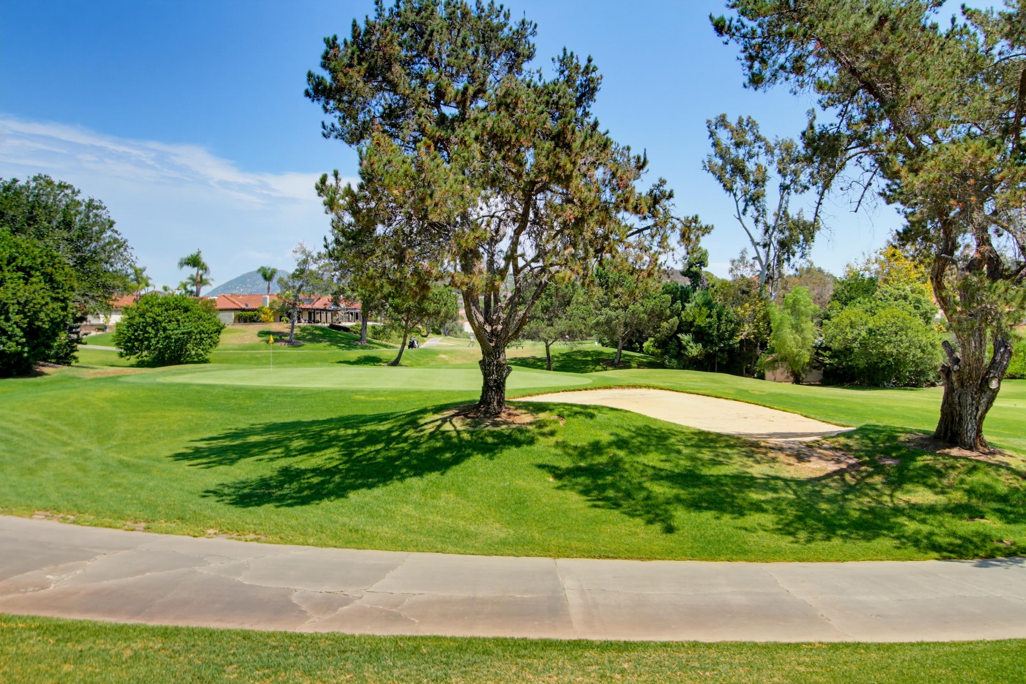 Virtual tour photo 35 of 60 for 12555 Oaks N Dr
