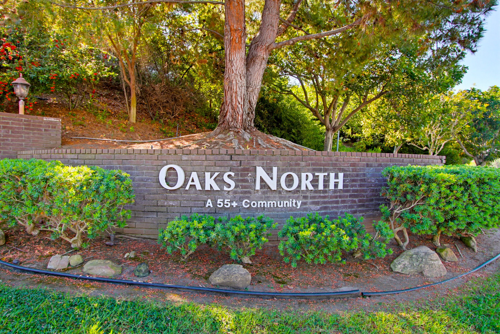 Virtual tour photo 58 of 60 for 12555 Oaks N Dr