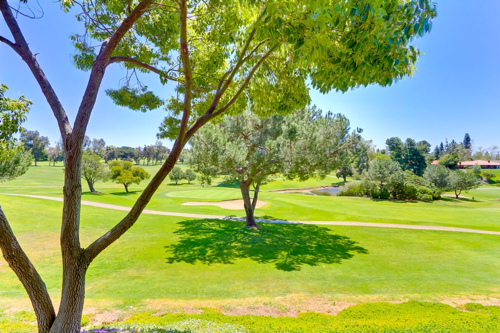 Virtual tour photo 48 of 47 for 12621 Camino Vuelo
