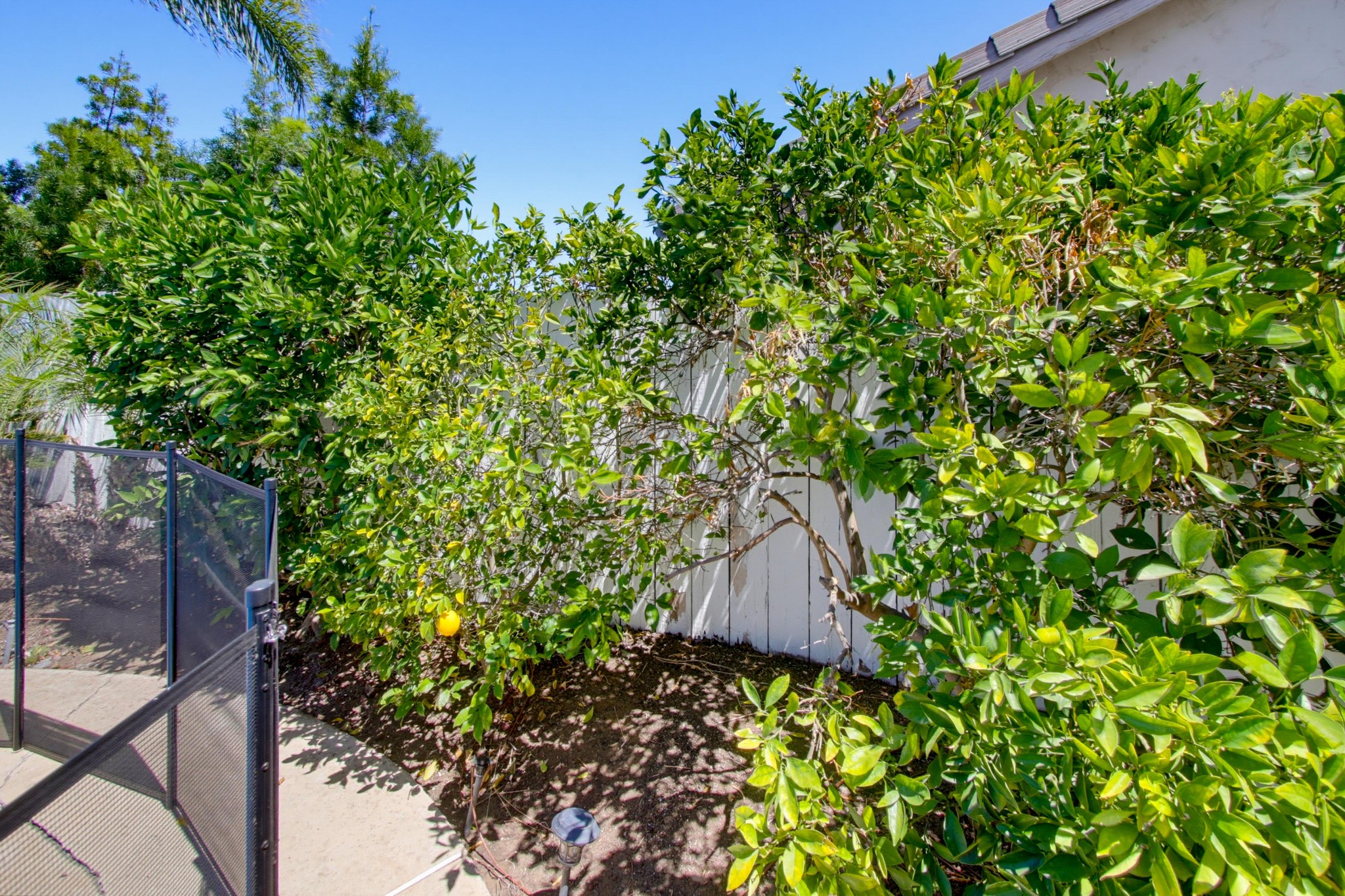 Virtual tour photo 43 of 44 for 12634 Birchbrook Ct