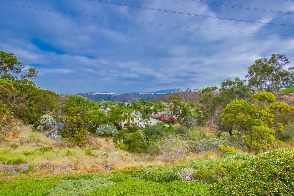 Virtual tour photo 55 of 54 for 12644 Legacy Rd
