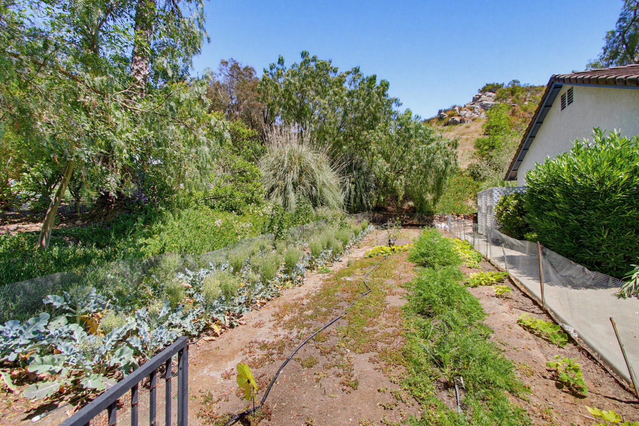 Virtual tour photo 6 of 88 for 12725 Monte Vista Rd