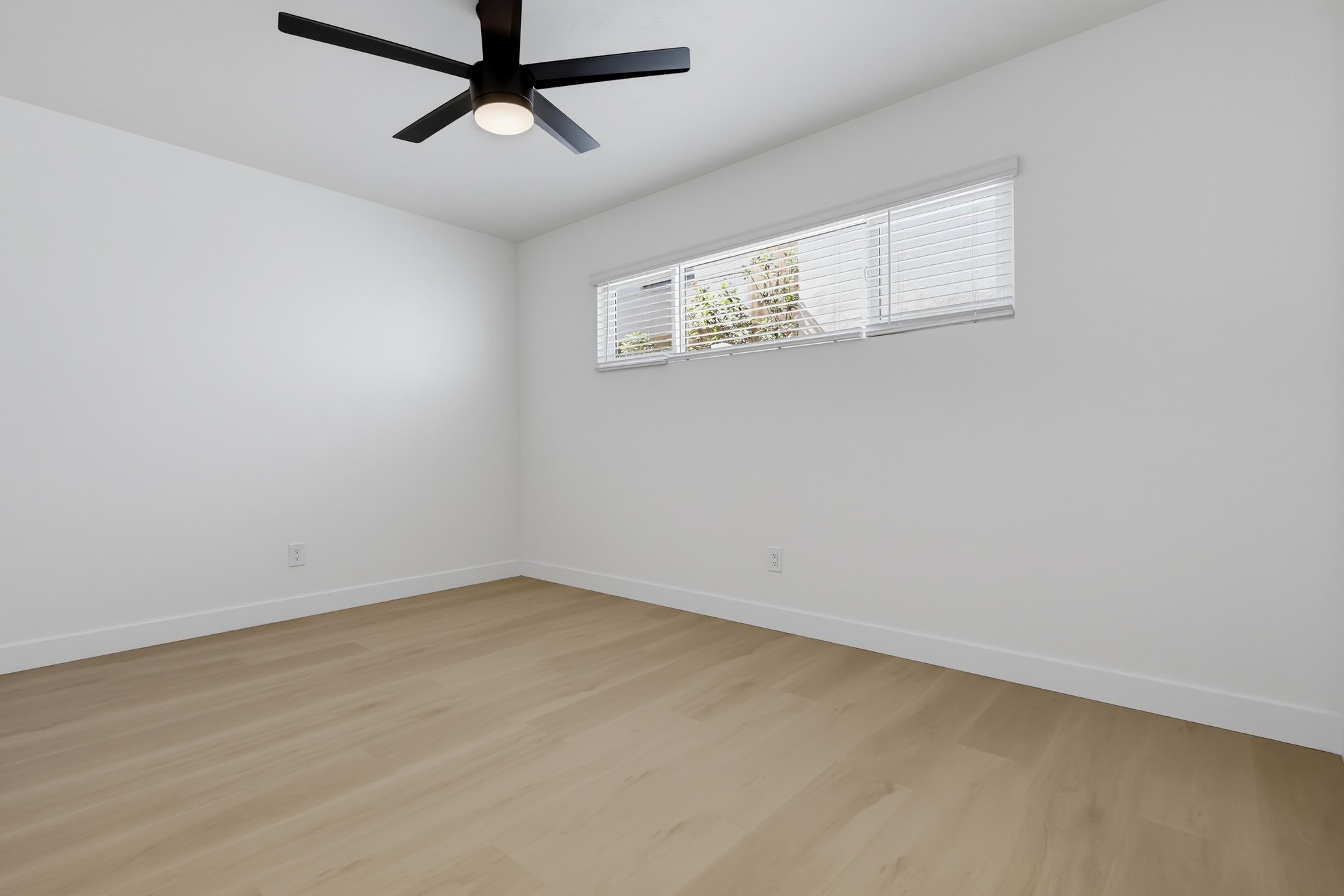 Virtual tour photo 42 of 47 for 1274 Essex St
