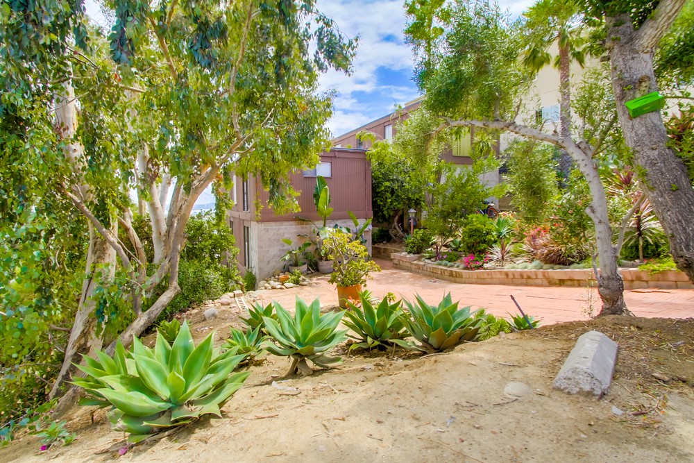 Virtual tour photo 4 of 54 for 1283 Van Nuys St