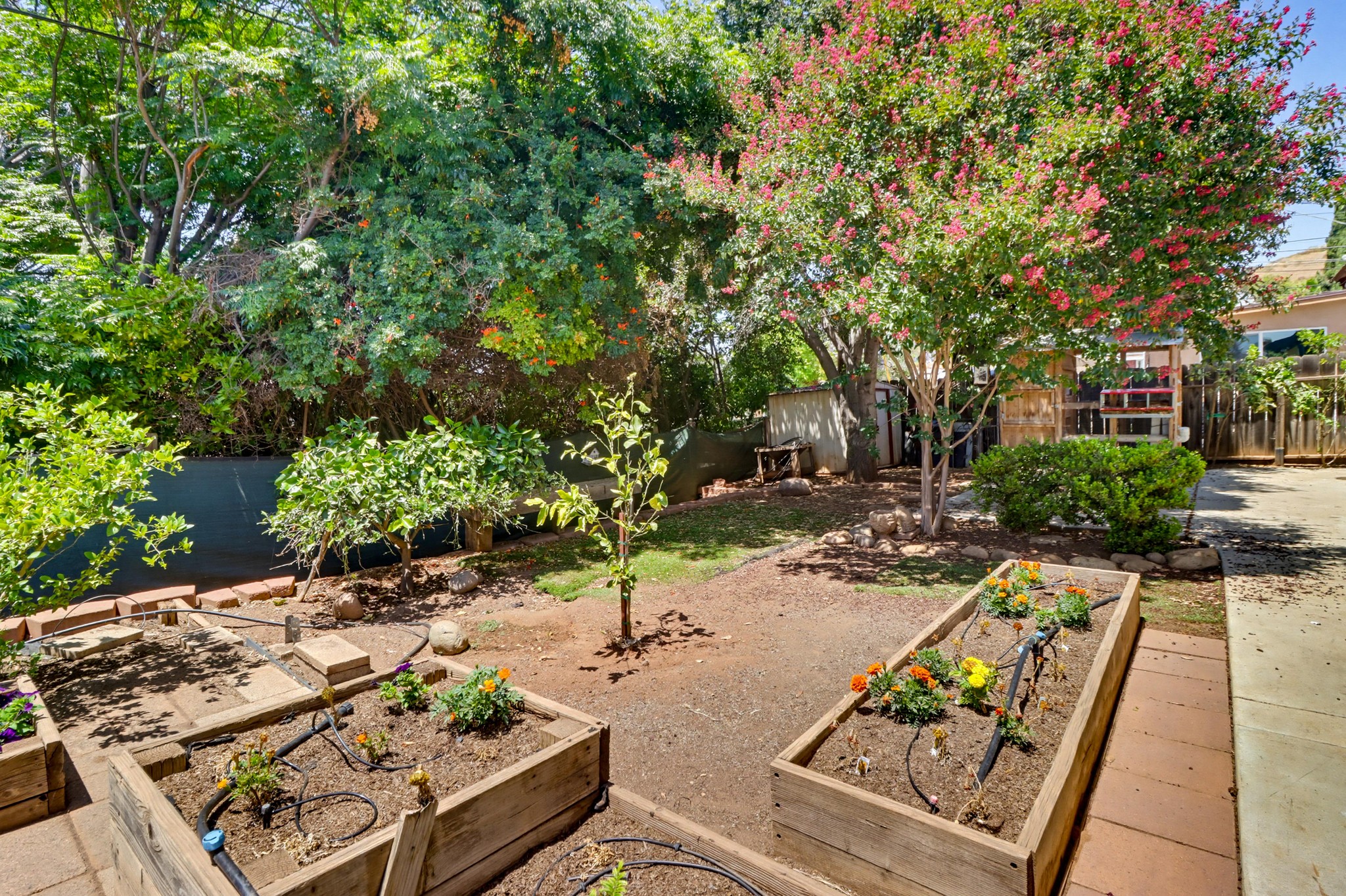 Virtual tour photo 48 of 49 for 1284 Tangerine St