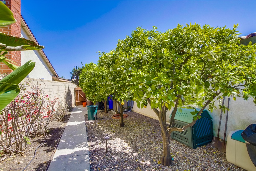 Virtual tour photo 47 of 55 for 12920 Via Del Valedor