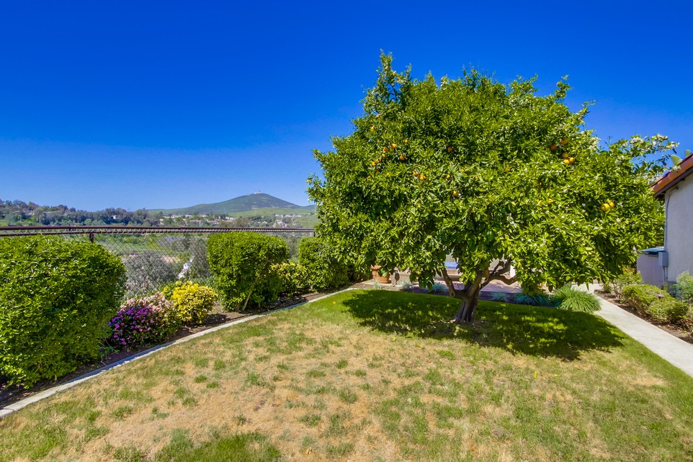 Virtual tour photo 51 of 55 for 12920 Via Del Valedor