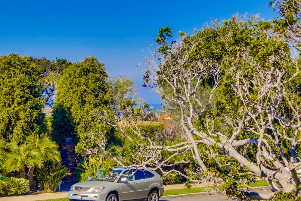 Virtual tour photo 17 of 68 for 1293 Alexandria Dr
