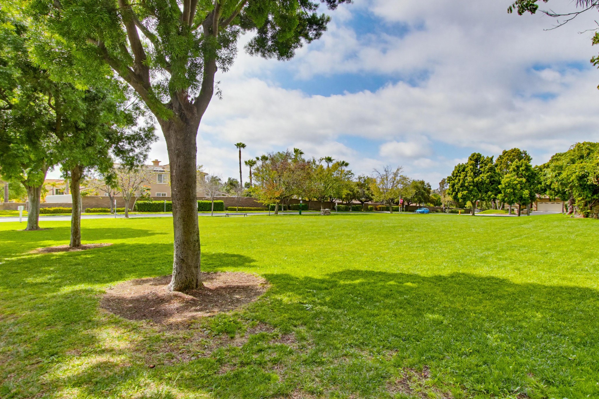Virtual tour photo 45 of 78 for 1298 Fools Gold Wy UNIT 1