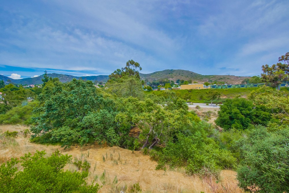 Virtual tour photo 7 of 35 for 13051 Evening Creek Dr S UNIT 48
