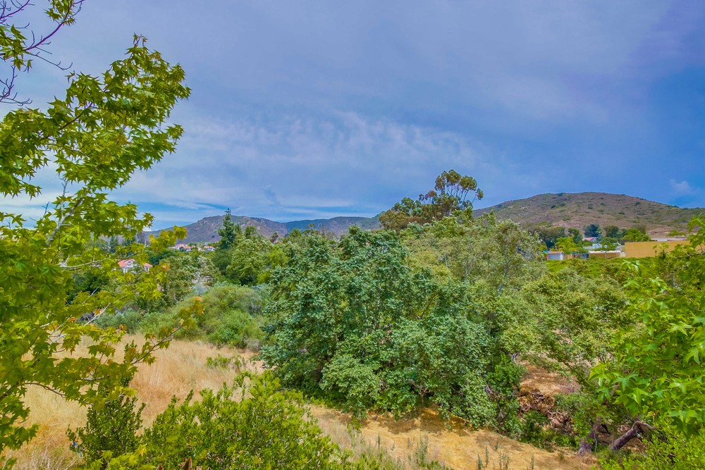 Virtual tour photo 8 of 35 for 13051 Evening Creek Dr S UNIT 48