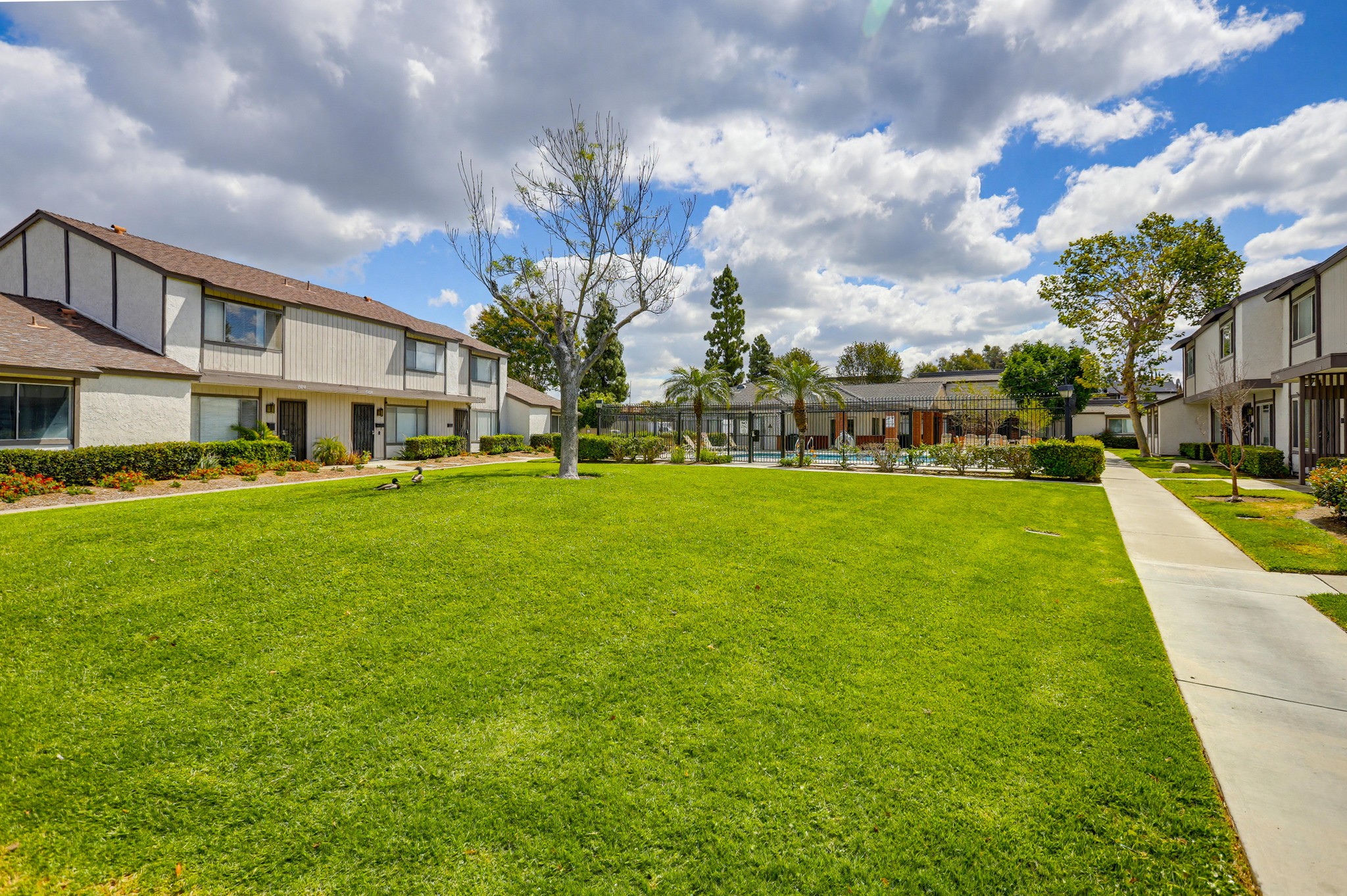 Virtual tour photo 65 of 69 for 13100 Ferndale Dr