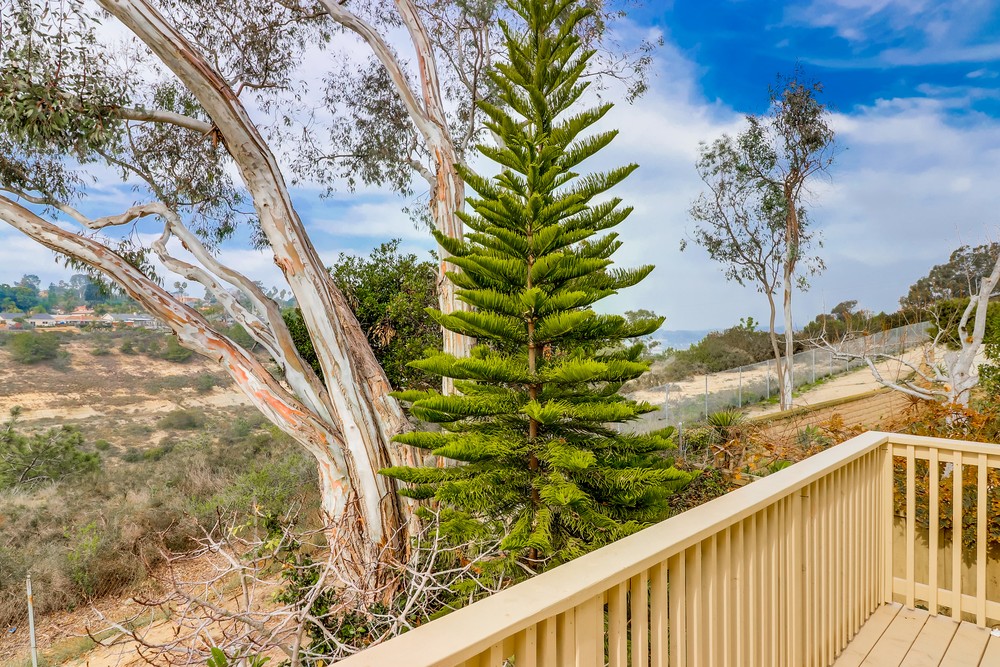 Virtual tour photo 62 of 79 for 13142 Windbreak Rd