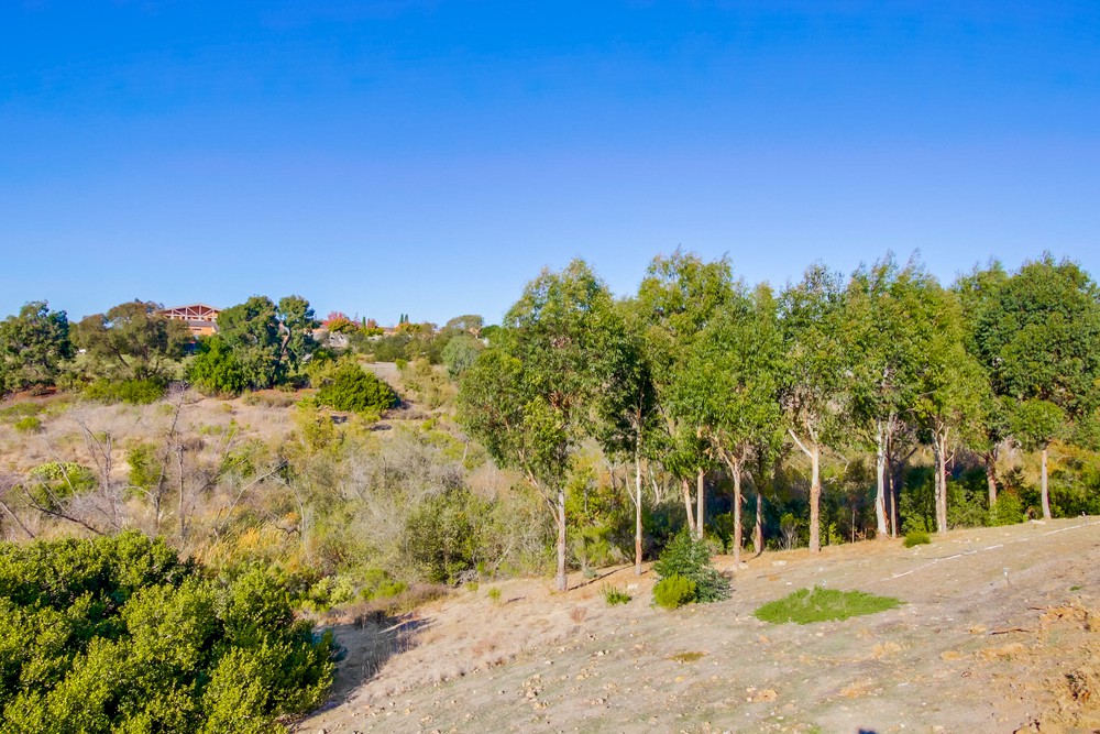 Virtual tour photo 55 of 55 for 13188 Dufresne Pl